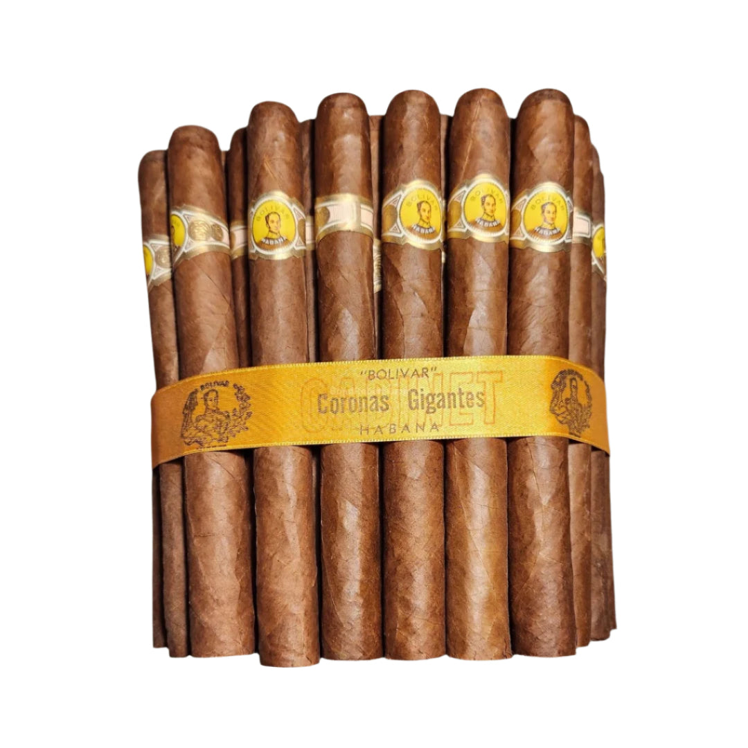 Bolivar Corona Gigantes - 1998 - Arcadia Cigars