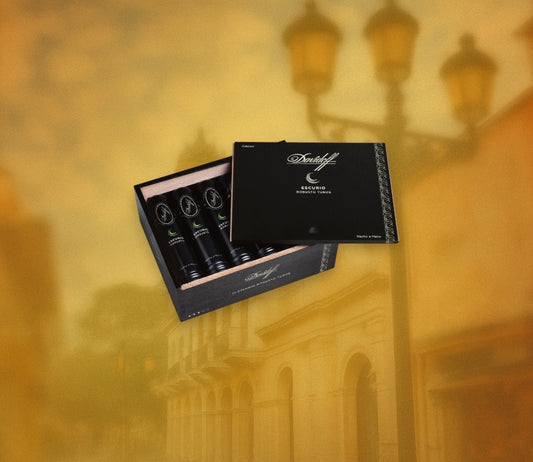 Davidoff Escurio Robusto Box of 12