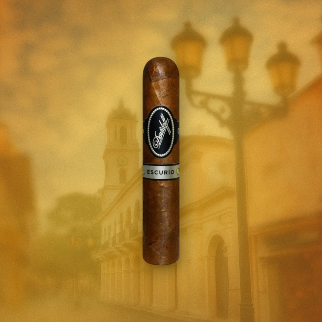 Davidoff Escurio Robusto Single Cigar