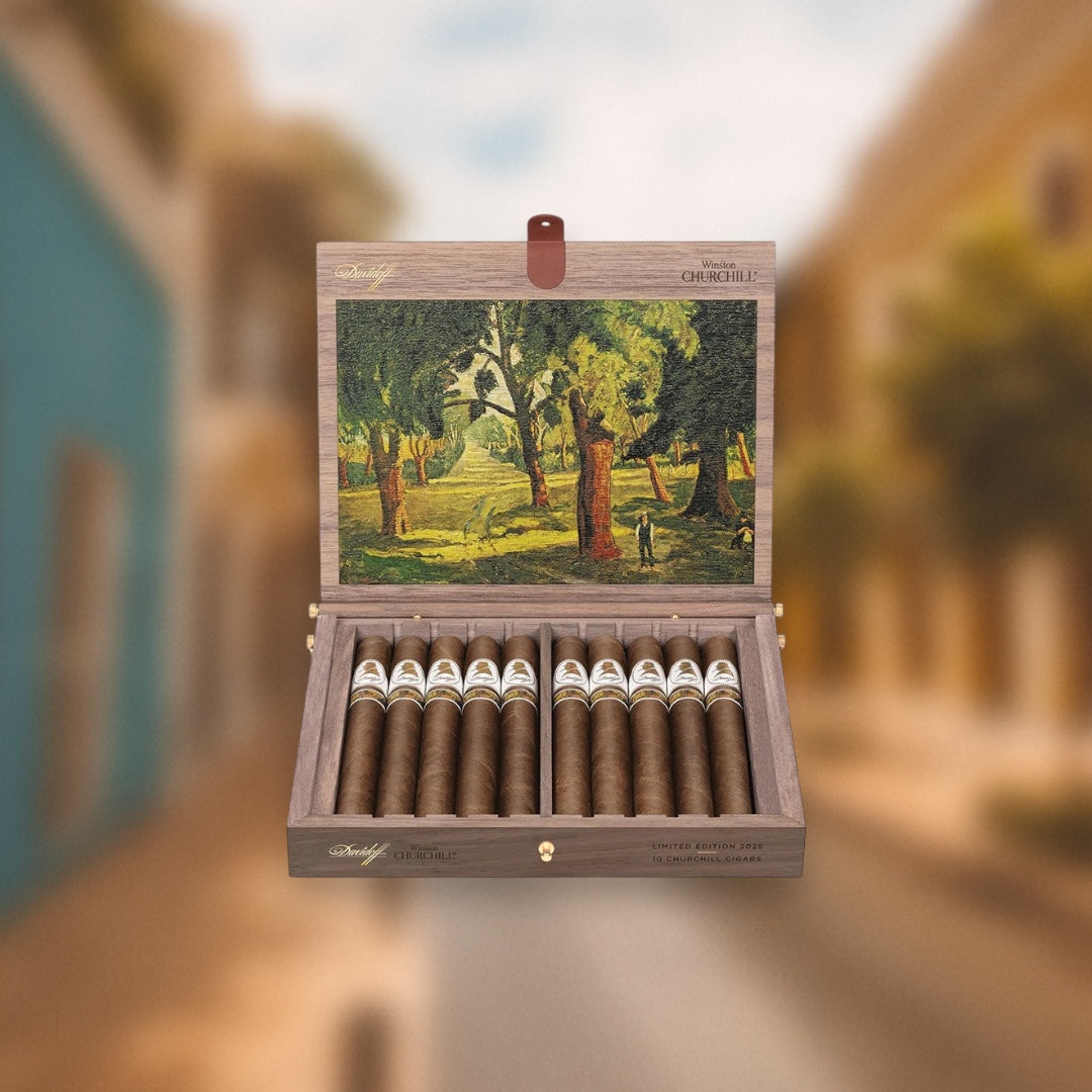 Winston Churchill Limited Edition 2025 - The Artist