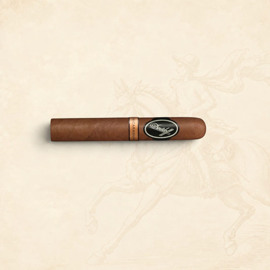Arcadia Cigars Davidoff Nicaragua Toro Vintage 2023 cigar with a smooth brown wrapper and branded cigar band