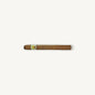 Bolivar Corona Gigantes