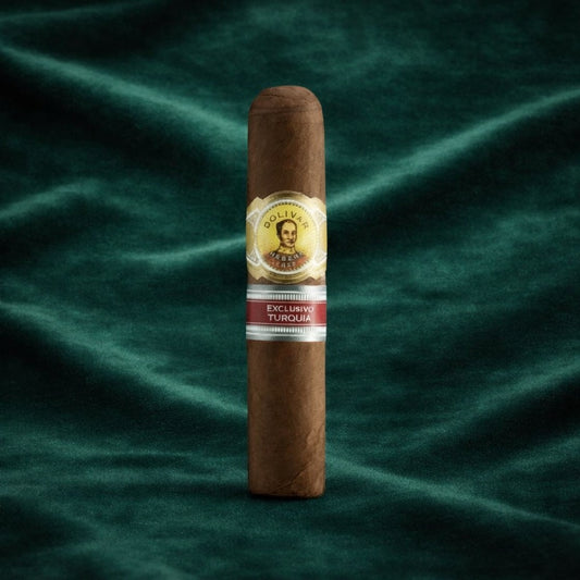 Bolivar - Bosphorus - RE 2014 - Turquia