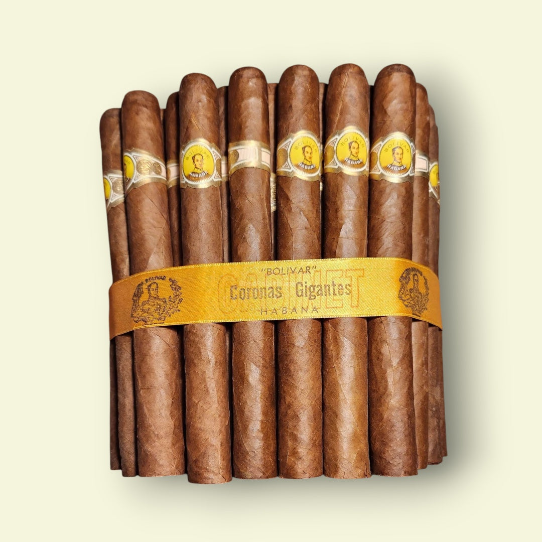 Bolivar Corona Gigantes - 1998 - Arcadia Cigars