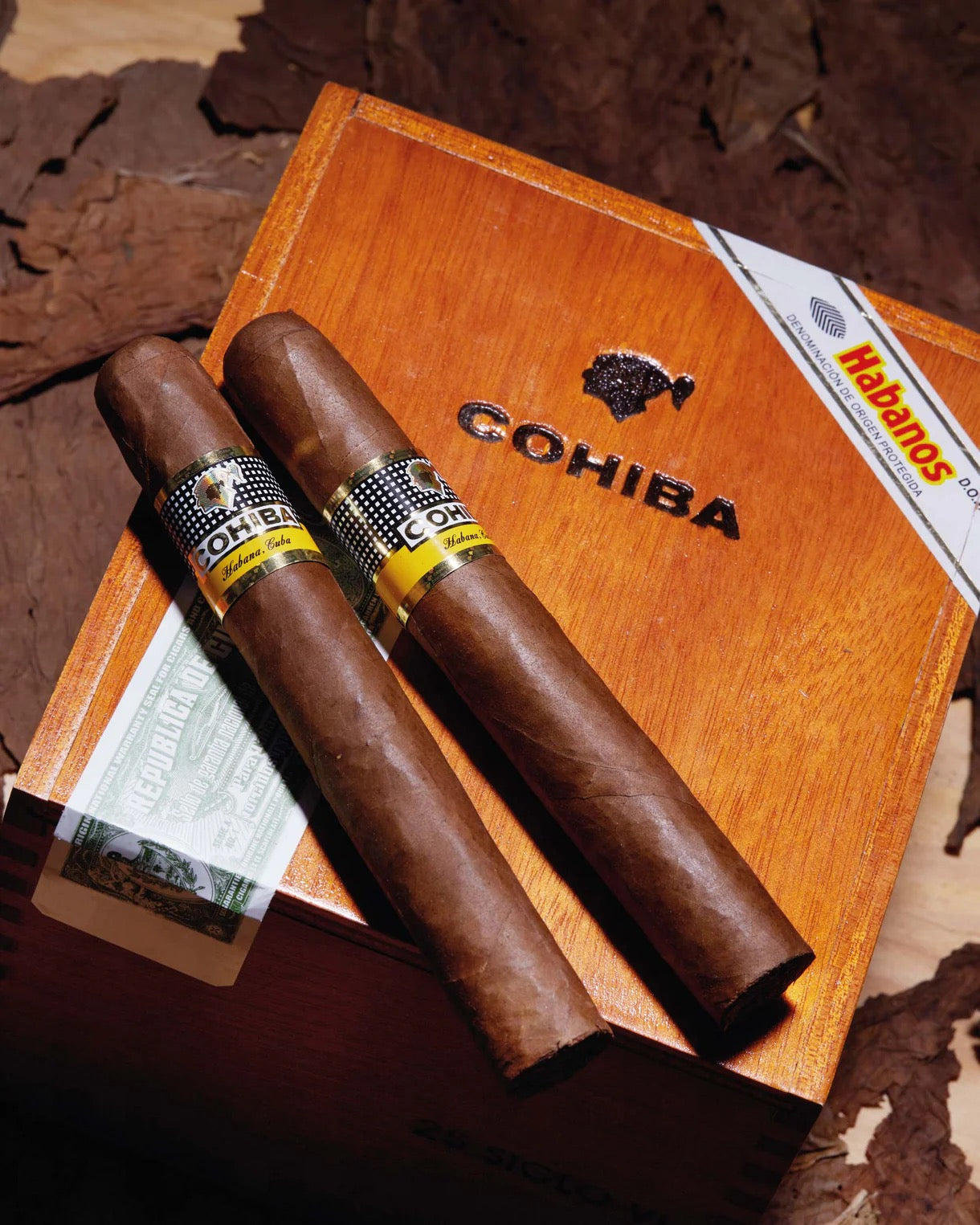 Cohiba Siglo VI - 2018