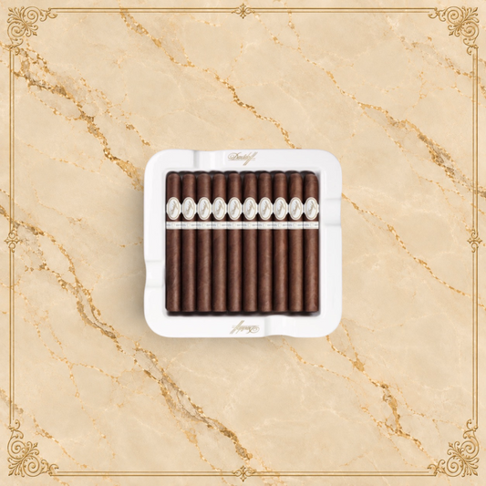 Arcadia Cigars Davidoff Chefs Edition 2021 toro cigars arranged in a white branded ceramic ashtray