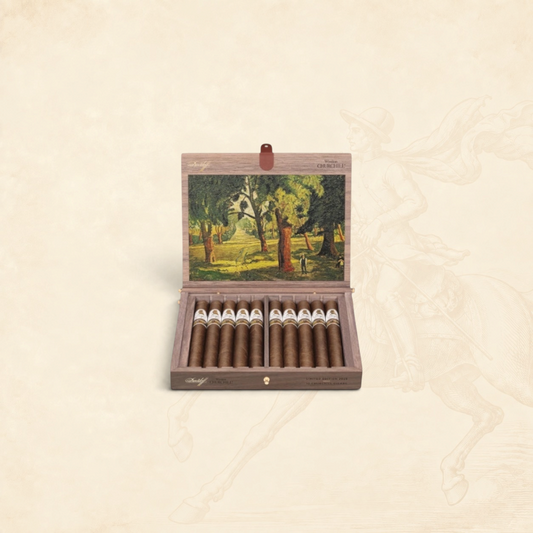 Davidoff Winston Churchill Limited Edition 2025 Davidoff