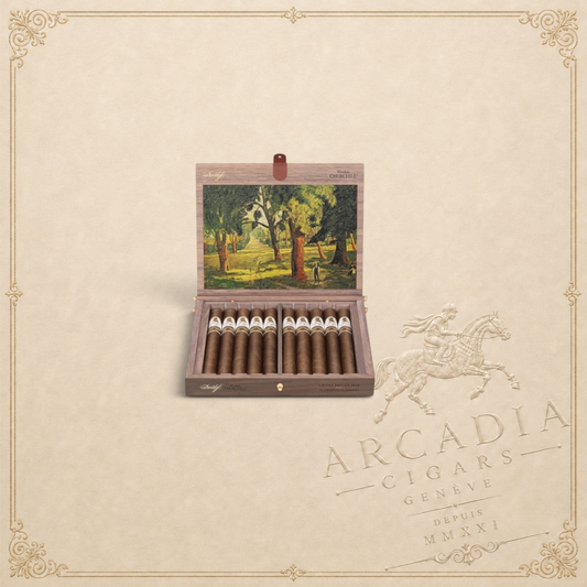 Davidoff Winston Churchill Limited Edition 2025 Davidoff