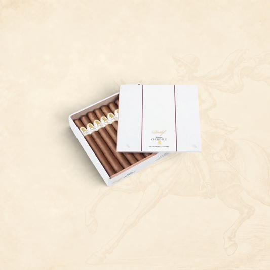 Arcadia Cigars Davidoff Winston Churchill cigar box containing premium hand-rolled cigars with Ecuadorian Habano wrapper
