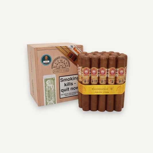 H. Upmann Connossieur B -  LCDH Exclusive