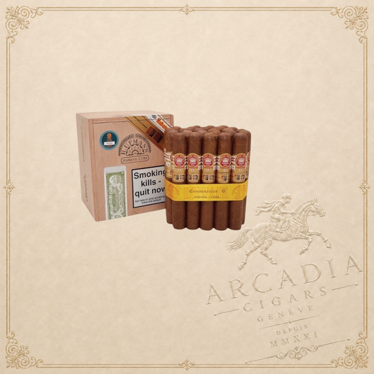 H. Upmann Connossieur B -  LCDH Exclusive