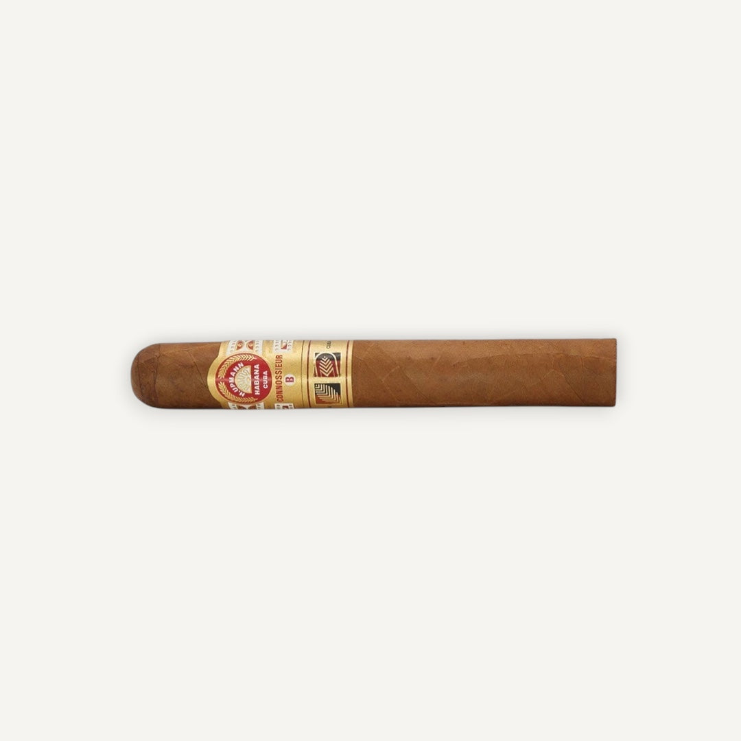 H. Upmann Connossieur B -  LCDH Exclusive