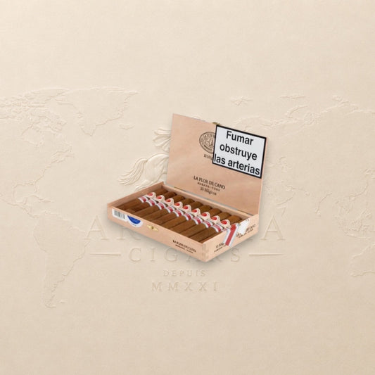 La Flor de Cano Mágicos - 2018 Regional Edition - Spain Habanos