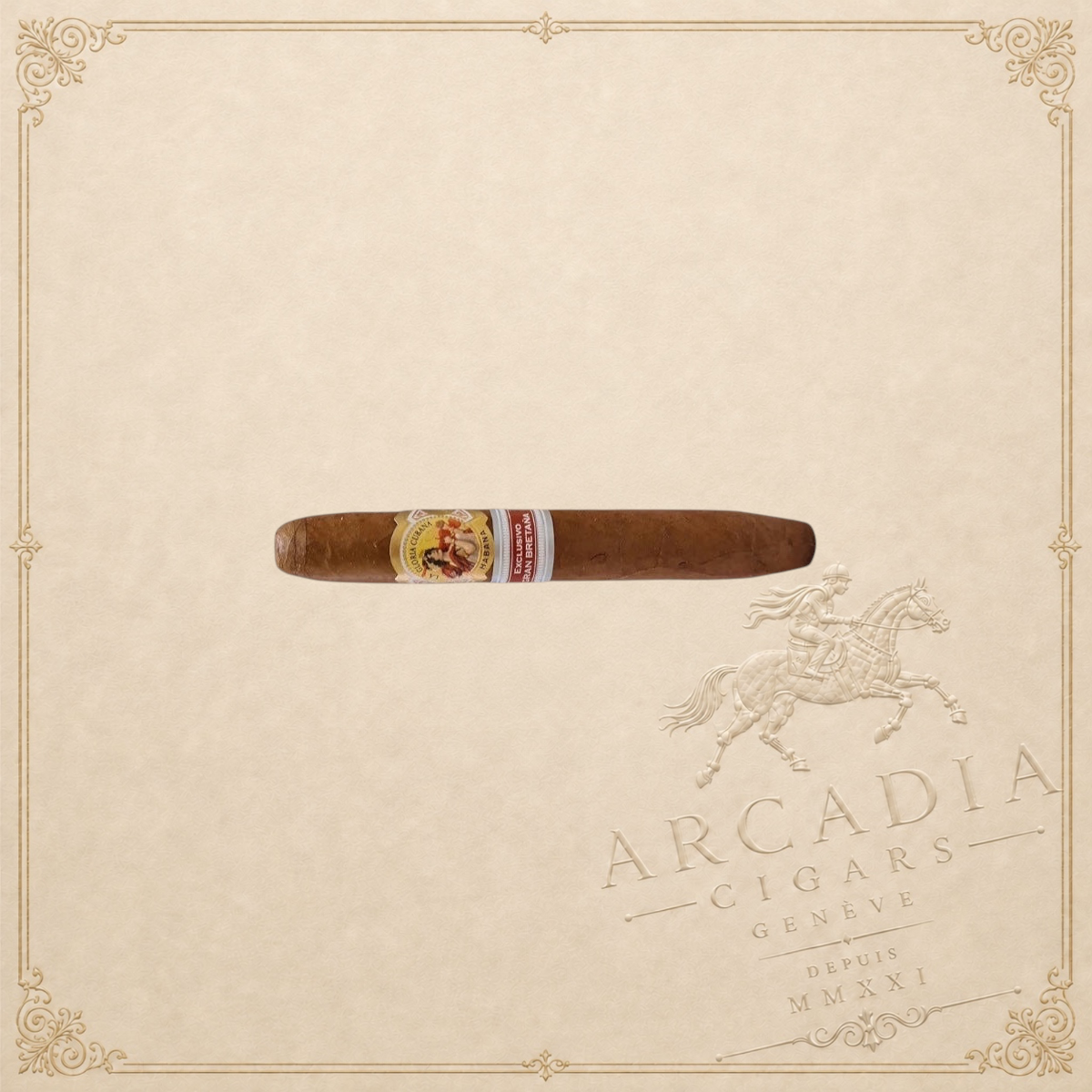 Arcadia Cigars La Gloria Cubana Britanicas Extra 2017 Gran Bretana cigar with ornate bands on a neutral background