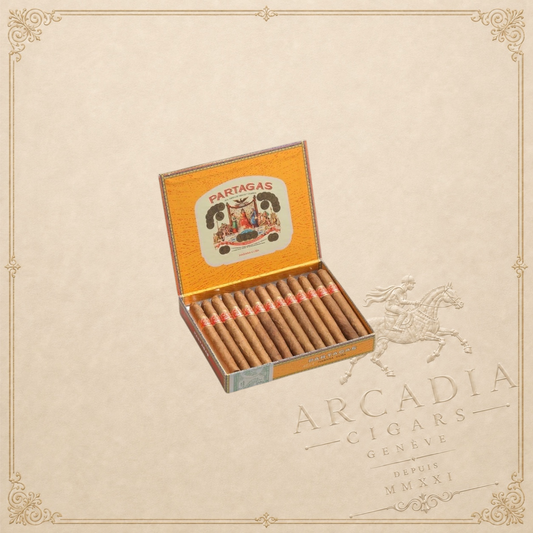 Arcadia Cigars Partagás Chicos cigarillos in an open yellow branded box on a textured background