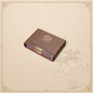Arcadia Cigars presents the Partagás Royales cigar box, a brown travel retail edition with elegant gold branding.