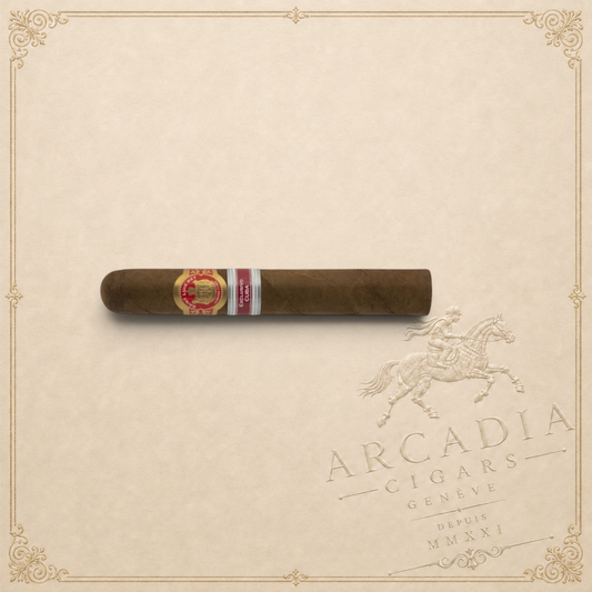 Arcadia Cigars Saint Luis Rey Marquez Cuban cigar with dark Colorado wrapper and red and gold band on textured background