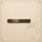 Arcadia Cigars Saint Luis Rey Marquez Cuban cigar with dark Colorado wrapper and red and gold band on textured background