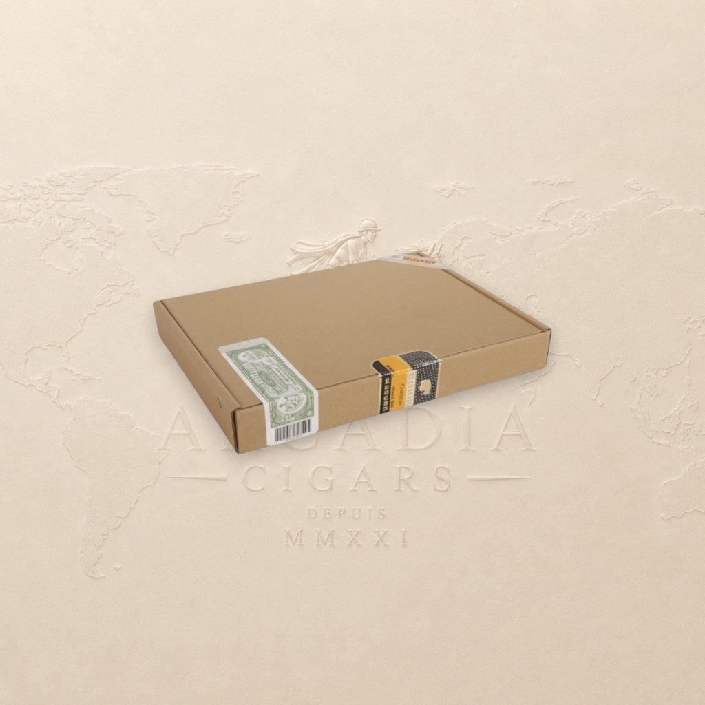 Arcadia Cigars Cohiba Piramides Extra box, featuring a cardboard exterior with green and gold band details.