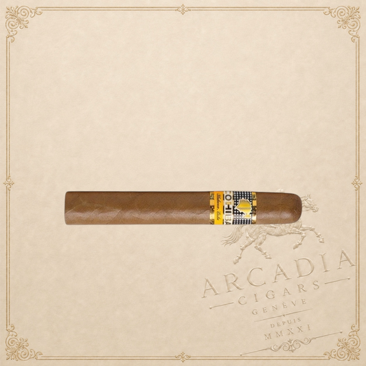 Arcadia Cigars Cohiba Siglo VI cigar with a golden band and brown wrapper. Medium to full strength.
