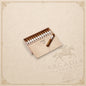 Arcadia Cigars Davidoff Signature Toro Vintage 2023 box with premium light brown cigars on a cream background
