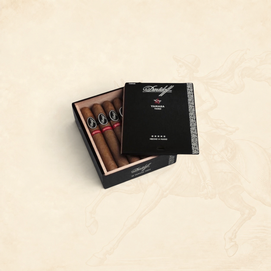 Arcadia Cigars Davidoff Yamasa Toro box with premium cigars featuring dark wrappers and signature branded bands.