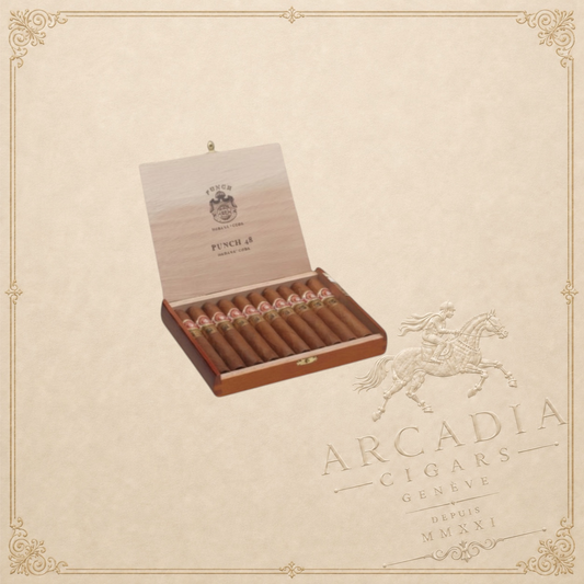 Arcadia Cigars Punch 48 LCDH Exclusive cigars in a wooden box. Medium-bodied with cedar, nut, and spice notes.