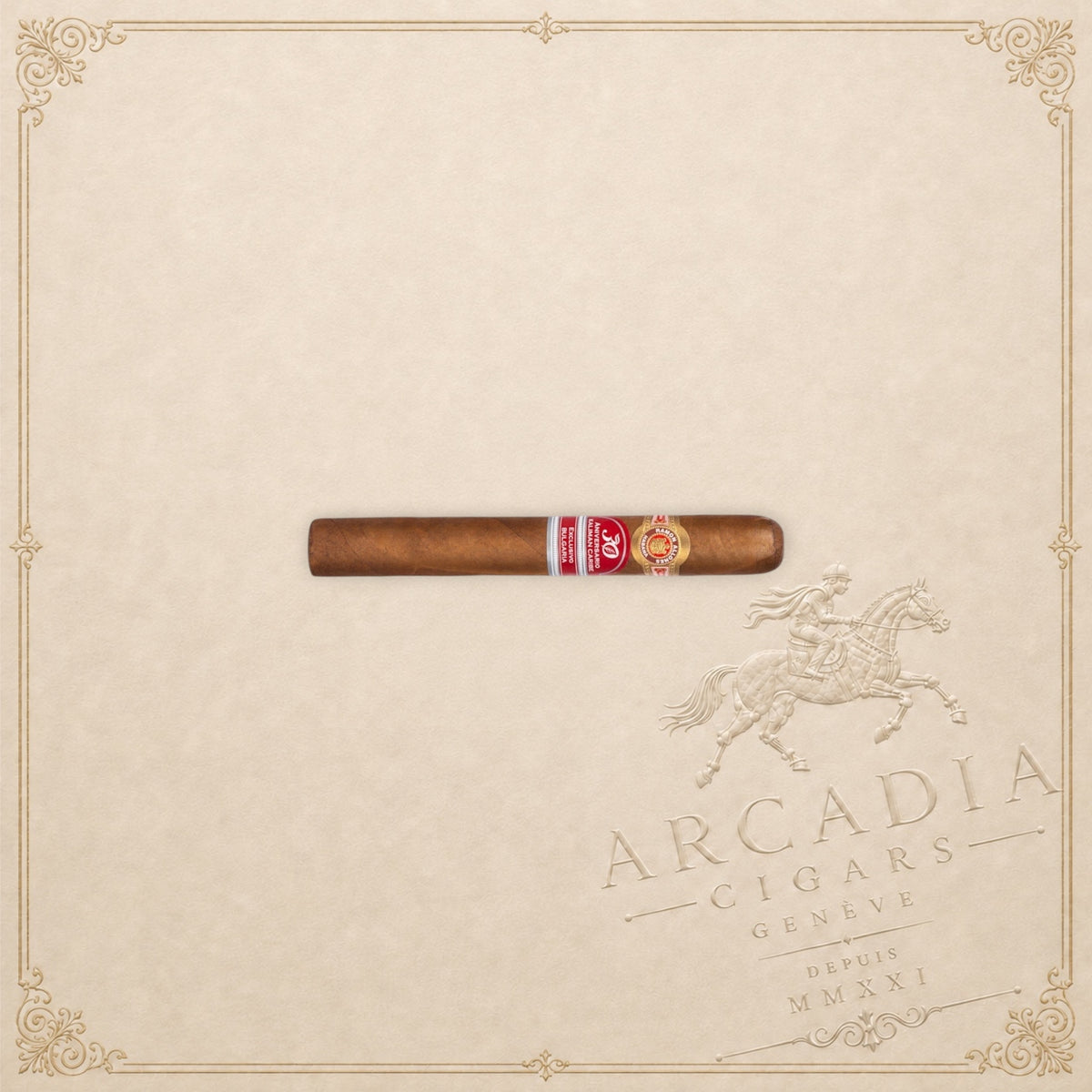 Arcadia Cigars Ramon Allones Rosa Bulgara Edicion Regional 2025 cigar with detailed red and gold anniversary bands.