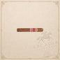 Arcadia Cigars Ramon Allones Rosa Bulgara Edicion Regional 2025 cigar with detailed red and gold anniversary bands.