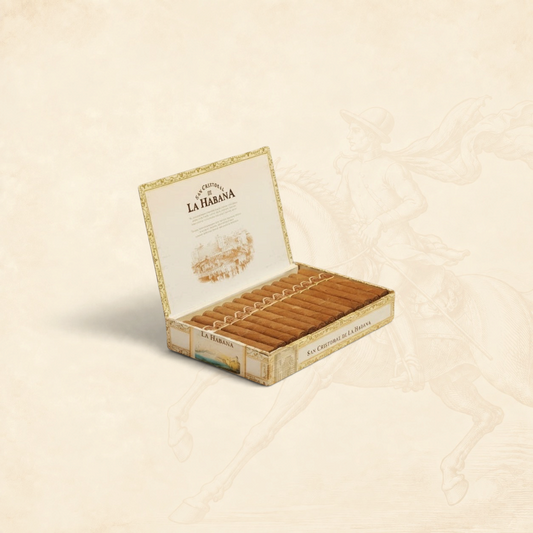 Arcadia Cigars San Cristobal de la Habana La Fuerza robusto extra cigars in an open box.