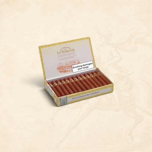 Arcadia Cigars San Cristobal De La Habana La Punta pirámide cigars in an open box. Creamy cedar, roasted nut, and spice notes.