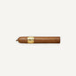 Arcadia Cigars Trinidad Reyes Petit Corona cigar with a golden band, medium strength, creamy, woody, and spicy notes.
