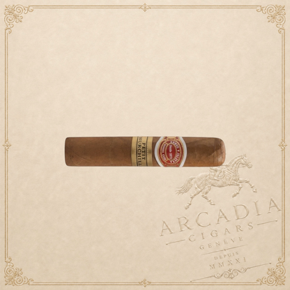 Arcadia Cigars Romeo y Julieta Petit Churchills cigar, medium strength, petit robusto format, 4" length, 50 ring gauge.
